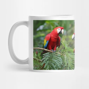 Scarlet Macaws - Costa Rica Mug